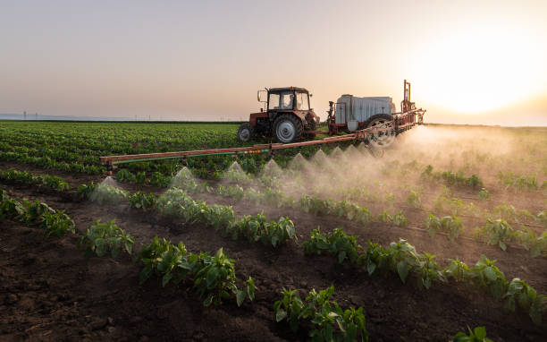 Best Ant Control Services  in Weissport East, PA