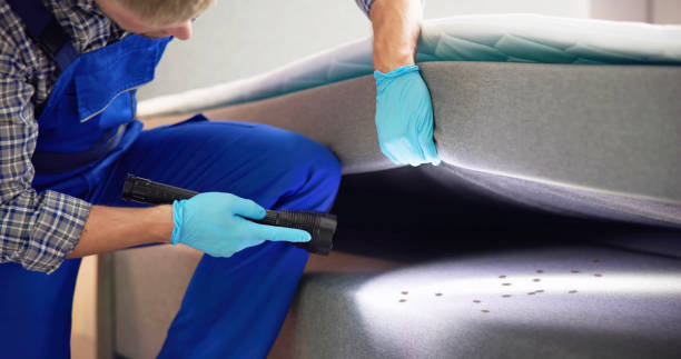Reliable Weissport East, PA Pest Control Solutions