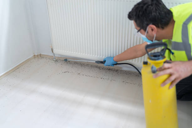 Best Pest Prevention Services  in Weissport East, PA